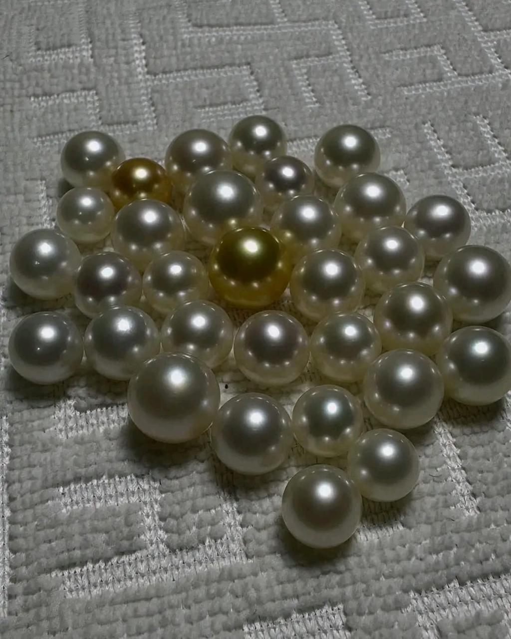 perbandingan mutiara golden South Sea natural deep gold champagne natural vs mutiara celup pewarnaan freshwater
