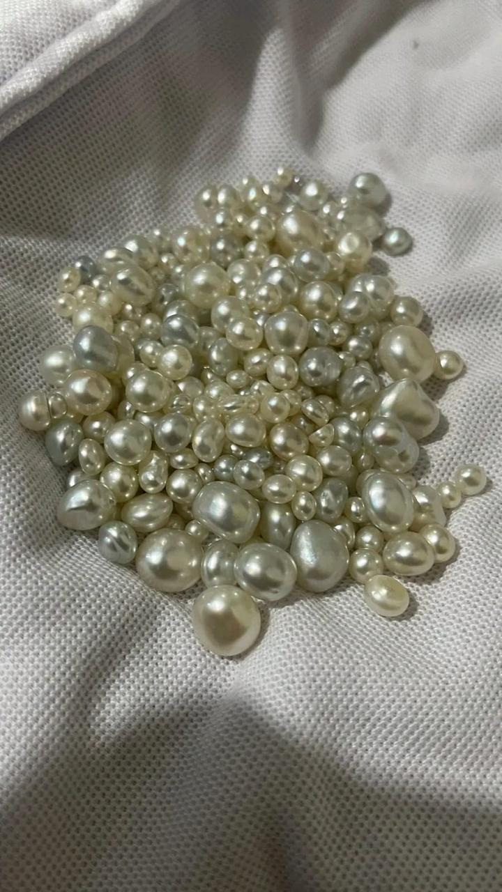 featured image mutiara emas South Sea natural golden paling langka Lombok kilau deep golden nacre tebal